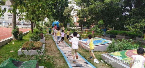 东晖实验学校2020 2021学年新生网上报名