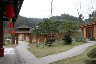 一日游耍起 彭州蝴蝶生态园