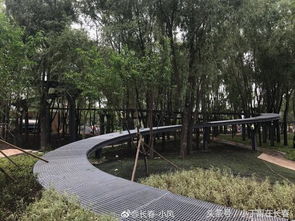 长春水文化生态园 预计十一前开放