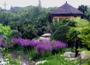 白马涧生态园风景美图