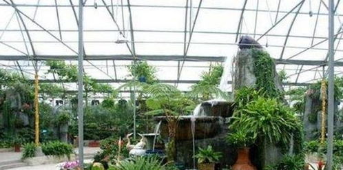 华东地区最大的农业生态观光园 丰乐生态园