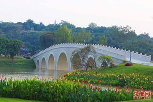 诏安南山文化生态园 演绎建设发展新篇章