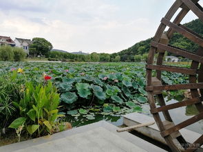 龙寺生态园游记