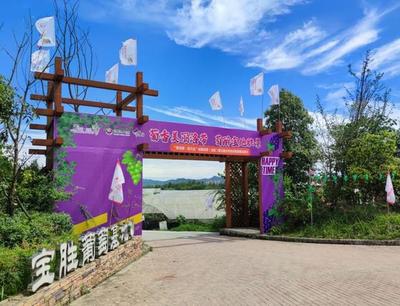 把课堂搬到泥土里，龙泉驿生态园打造校外劳动教育基地