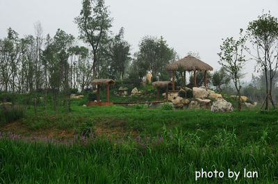 锦江白鹭溪生态公园 镜中的生态之美