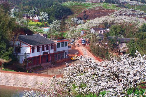 探秘“这就是开佛”生态园 自然与人文的和谐交融