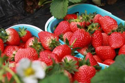 放假了，一定要去生态园的6个理由！