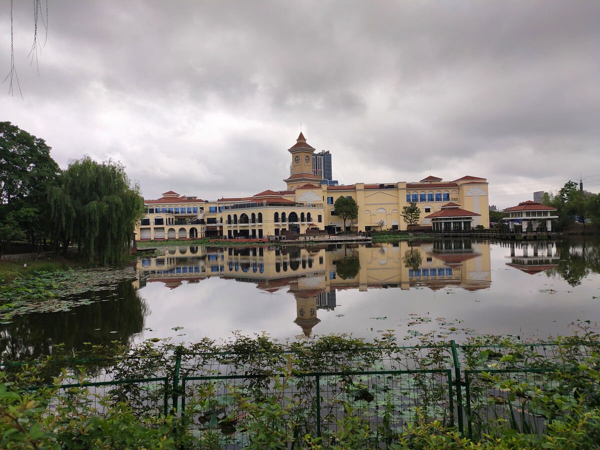 上海奉浦四季生态园随拍 城市绿肺中的诗意漫步