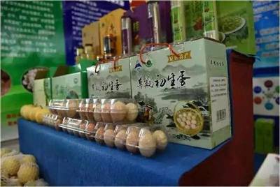 夏日果香四溢，大盛镇生态园邀您尽享采摘之乐