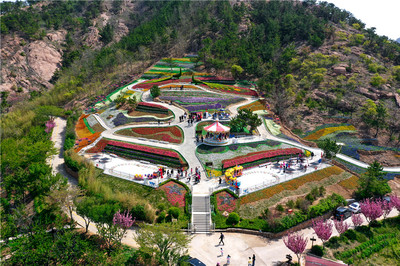 免费游花海！第三届青岛花卉博览会今日在生态园盛大启动