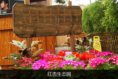 红杏生态园 都市近郊的绿色田园梦