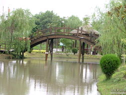 昆山生态园的木桥 连接自然与人文的诗意纽带