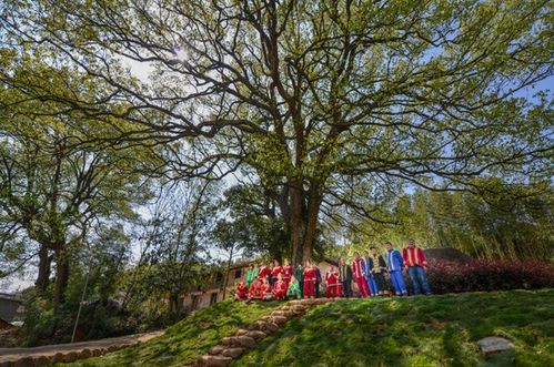 浙江擘画诗路文化新蓝图 九市联动，生态为基，打造中华文脉传承创新带