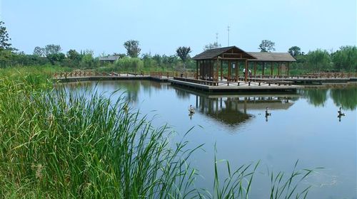 国庆乐游 上海出发，千灯古镇与大唐生态园一日探幽之旅